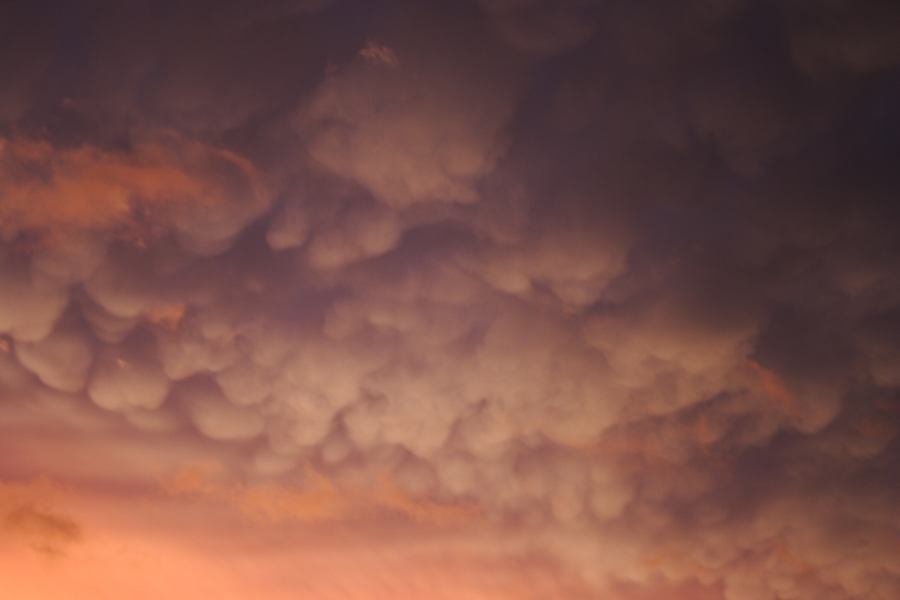 mammatus mammatus_cloud : Schofields, NSW   7 February 2007