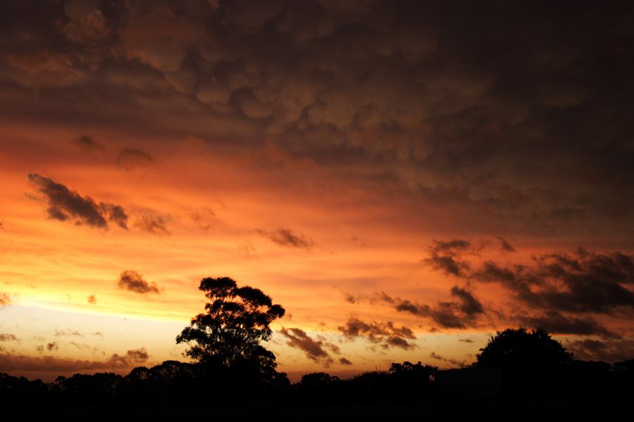 sunset sunset_pictures : Schofields, NSW   7 February 2007