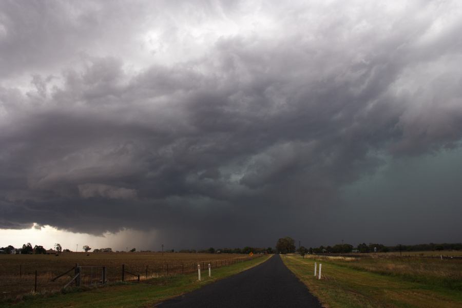 cumulonimbus thunderstorm_base : Gulgong, NSW   10 February 2007