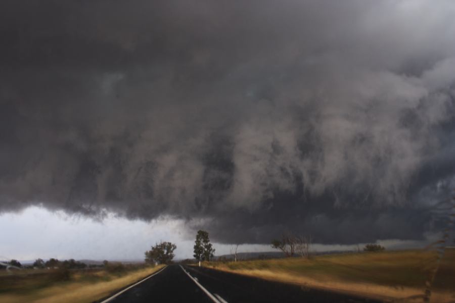 cumulonimbus thunderstorm_base : N of Gulgong, NSW   10 February 2007