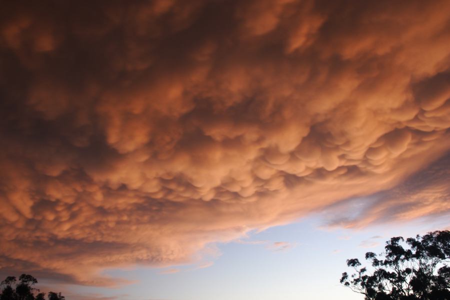 sunset sunset_pictures : Coonabarabran, NSW   10 February 2007