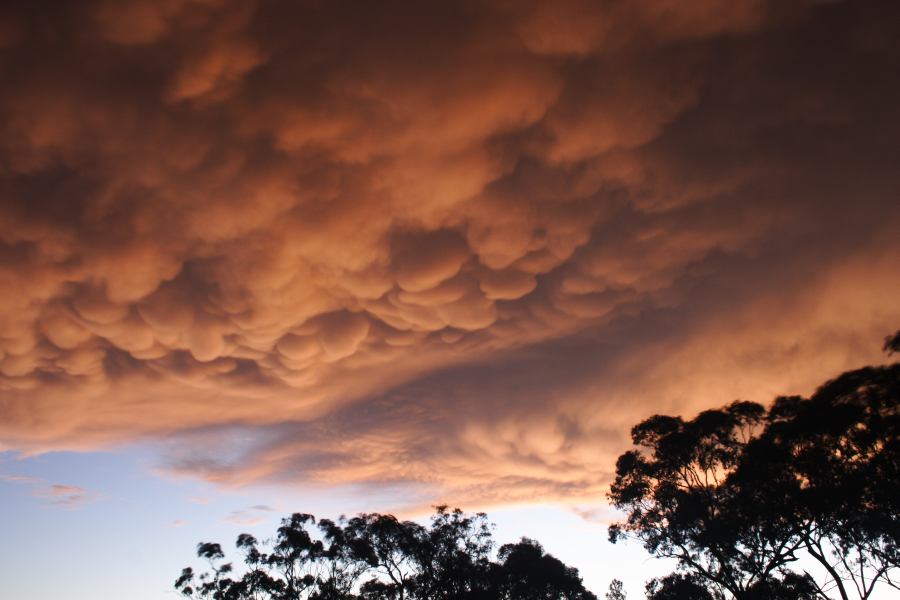 sunset sunset_pictures : Coonabarabran, NSW   10 February 2007