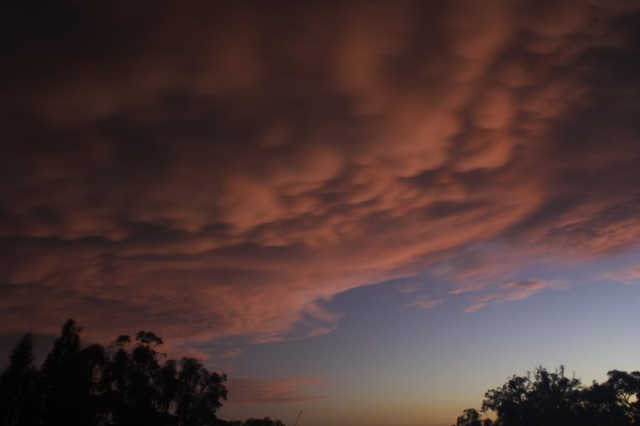 sunset sunset_pictures : Coonabarabran, NSW   10 February 2007