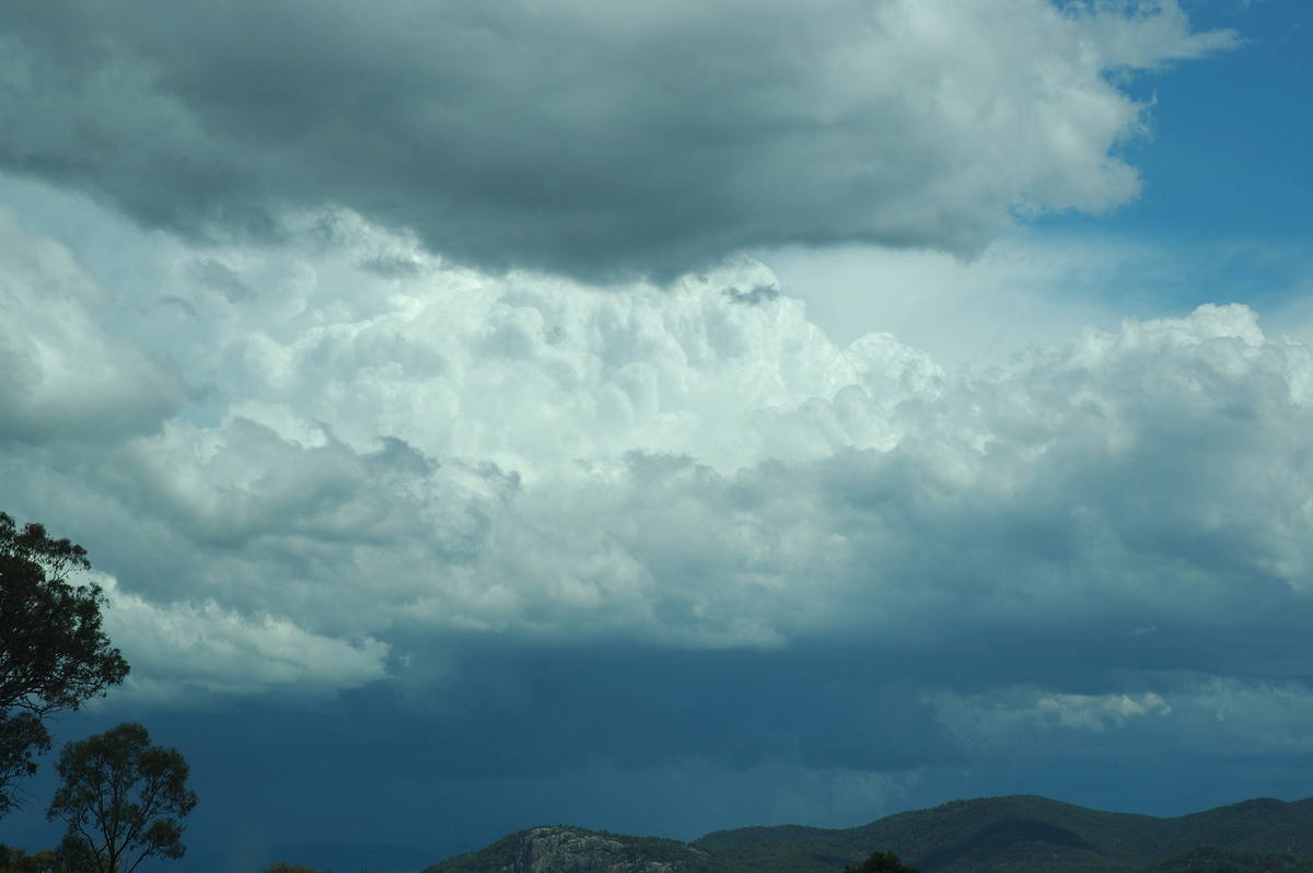 updraft thunderstorm_updrafts : S of Tenterfield, NSW   10 February 2007