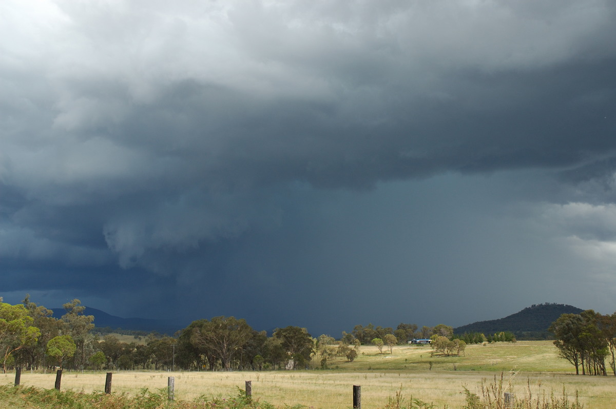 cumulonimbus thunderstorm_base : S of Tenterfield, NSW   10 February 2007