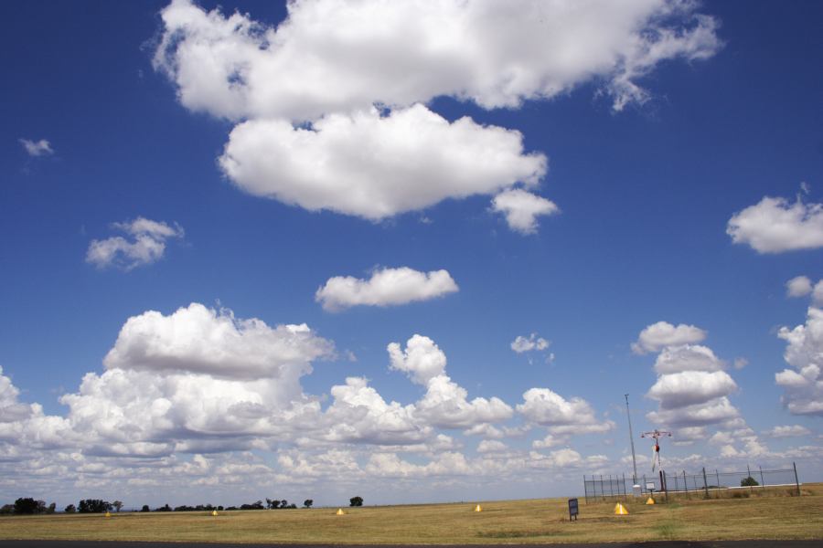 cumulus mediocris : Coonabarabran, NSW   11 February 2007