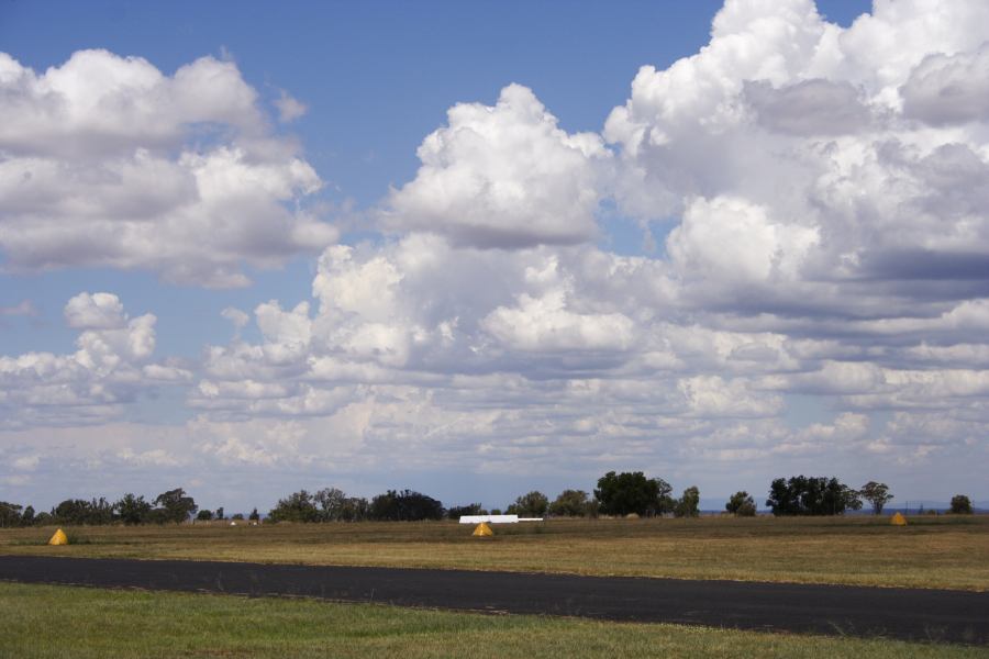 cumulus mediocris : Coonabarabran, NSW   11 February 2007