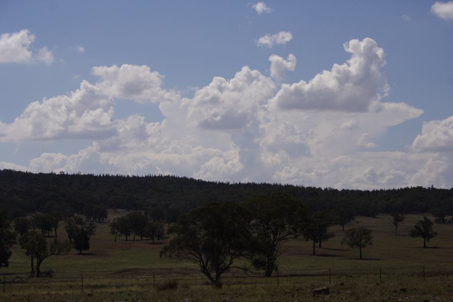 anvil thunderstorm_anvils : N of Dunedoo, NSW   11 February 2007