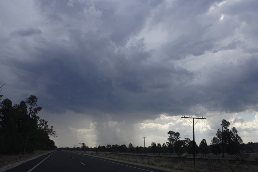 raincascade precipitation_cascade : Elong Elong, NSW   11 February 2007