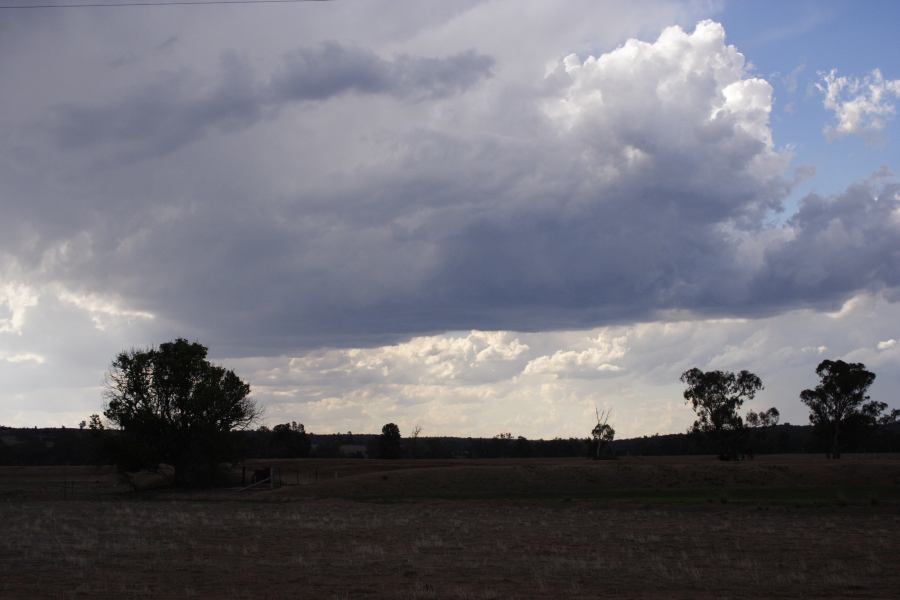 cumulonimbus thunderstorm_base : Elong Elong, NSW   11 February 2007