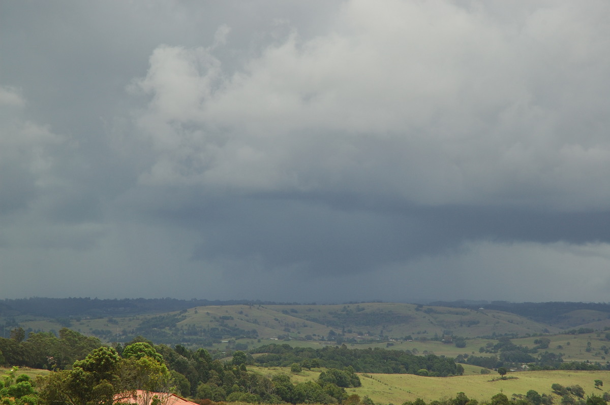 cumulonimbus thunderstorm_base : McLeans Ridges, NSW   12 February 2007