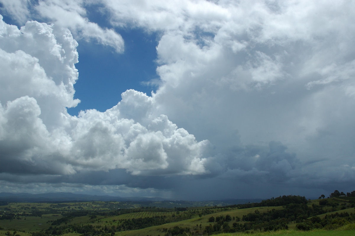 cumulus congestus : McLeans Ridges, NSW   14 February 2007