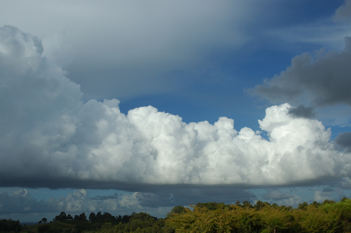 cumulus congestus : McLeans Ridges, NSW   14 February 2007