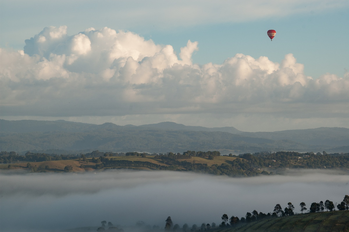 favourites michael_bath : McLeans Ridges, NSW   16 February 2007