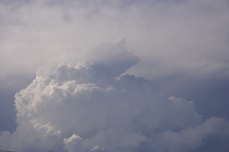 thunderstorm cumulonimbus_calvus : Schofields, NSW   19 February 2007