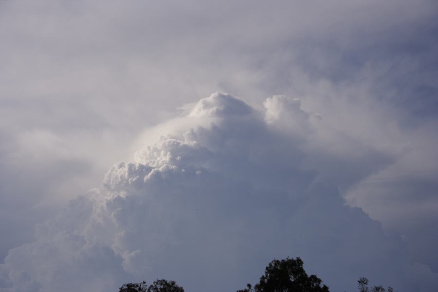 updraft thunderstorm_updrafts : Riverstone, NSW   19 February 2007