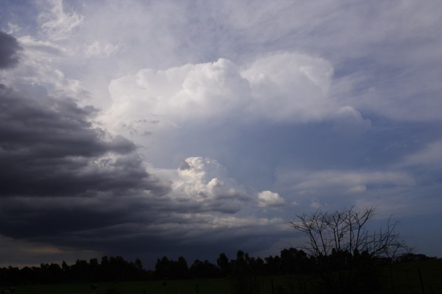 thunderstorm cumulonimbus_incus : Pacific Park, NSW   19 February 2007