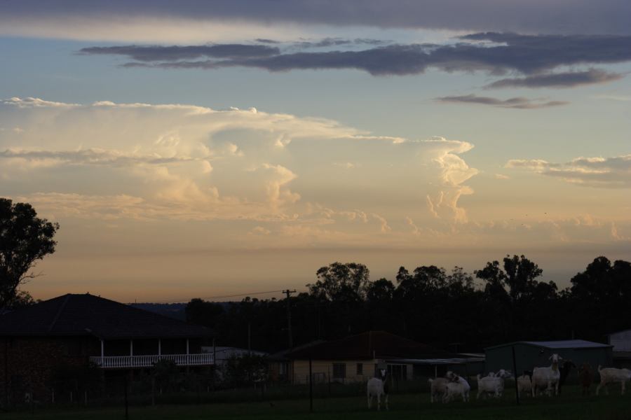 thunderstorm cumulonimbus_incus : Schofields, NSW   22 February 2007