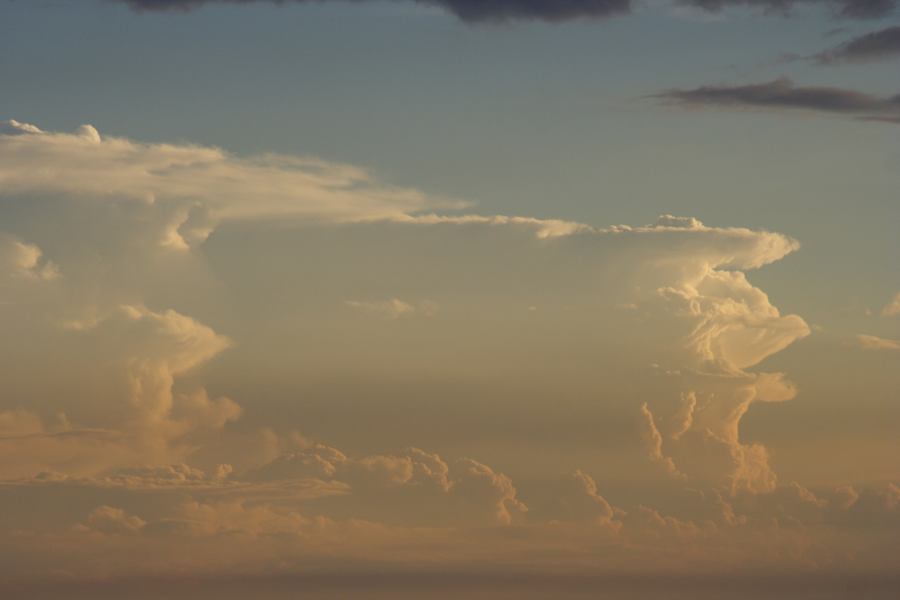 thunderstorm cumulonimbus_incus : Schofields, NSW   22 February 2007