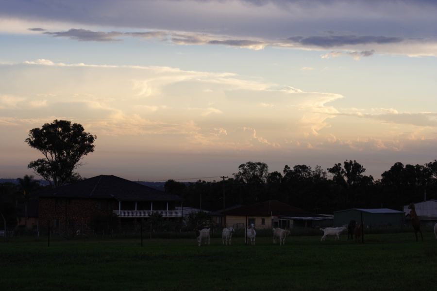 thunderstorm cumulonimbus_incus : Schofields, NSW   22 February 2007