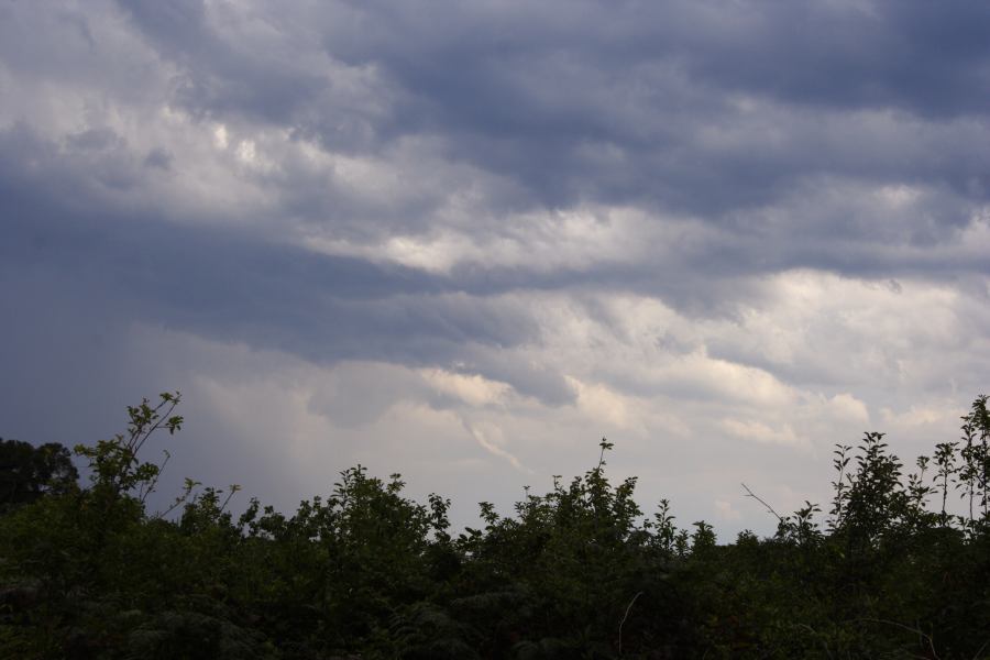 tornadoes funnel_tornado_waterspout : Bilpin, NSW   24 February 2007