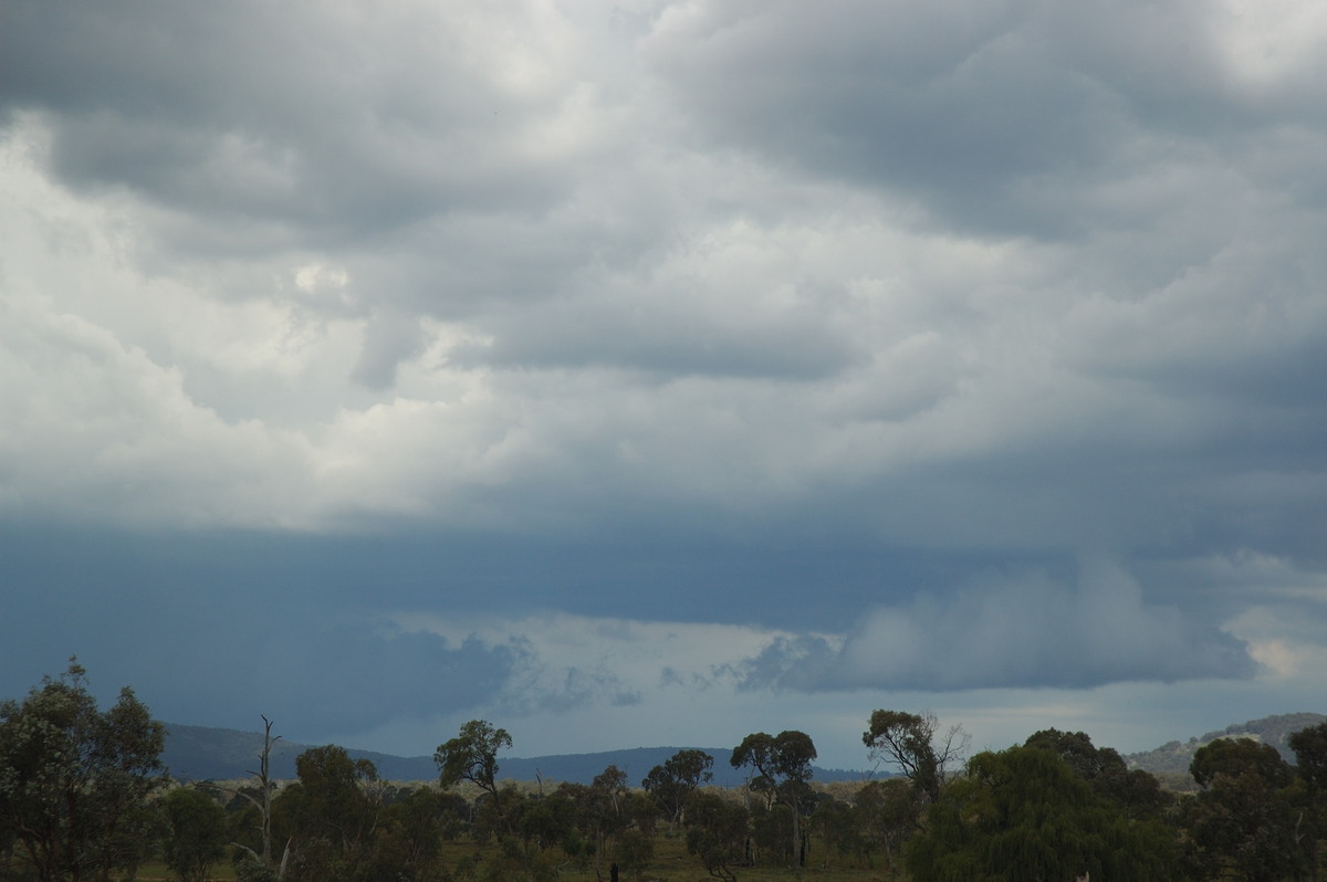 cumulonimbus thunderstorm_base : near Deepwater, NSW   25 February 2007