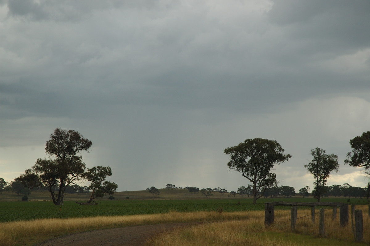 raincascade precipitation_cascade : near Deepwater, NSW   25 February 2007