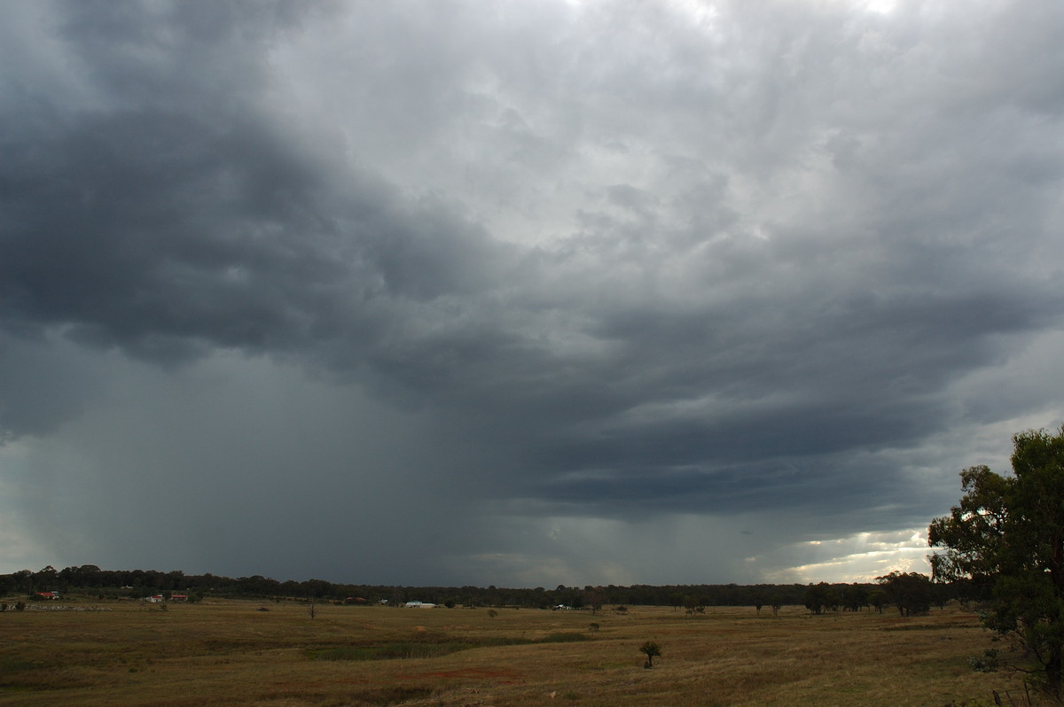 cumulonimbus thunderstorm_base : Emmaville, NSW   25 February 2007