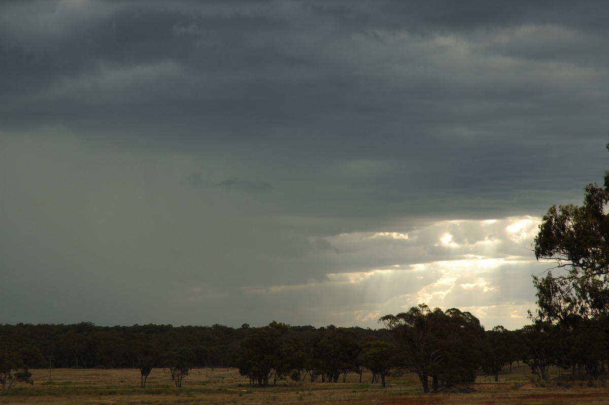 cumulonimbus thunderstorm_base : Emmaville, NSW   25 February 2007