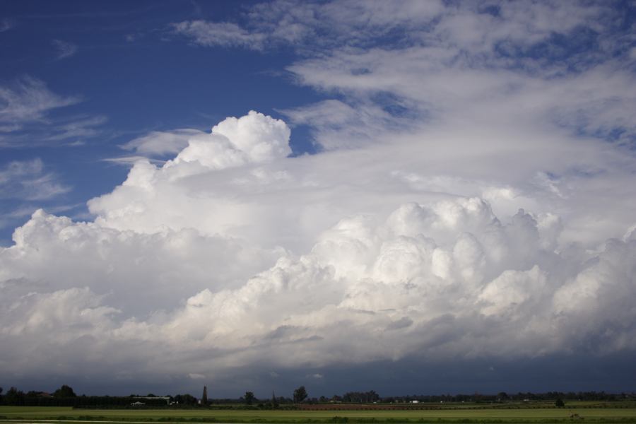 updraft thunderstorm_updrafts : Windsor, NSW   28 February 2007