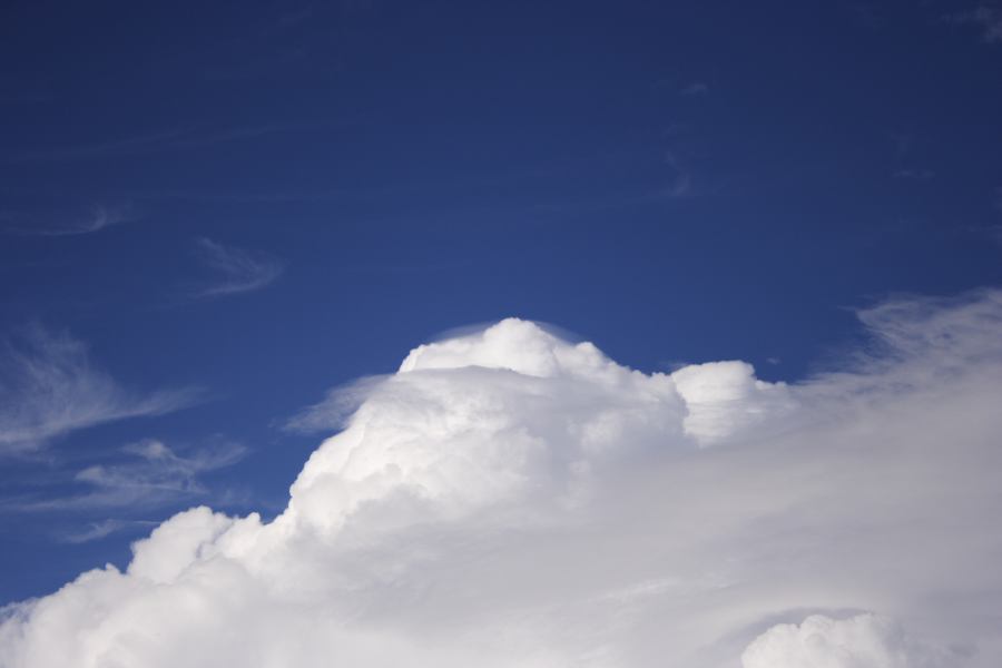 updraft thunderstorm_updrafts : Windsor, NSW   28 February 2007