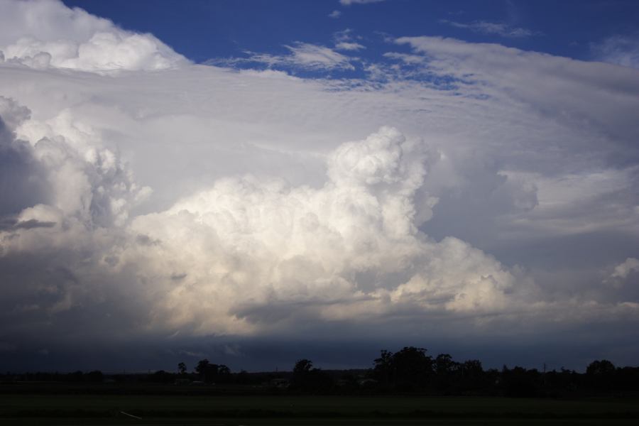 updraft thunderstorm_updrafts : Windsor, NSW   28 February 2007