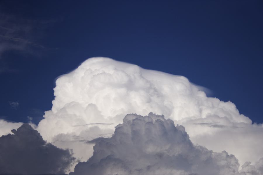 pileus pileus_cap_cloud : Windsor, NSW   28 February 2007