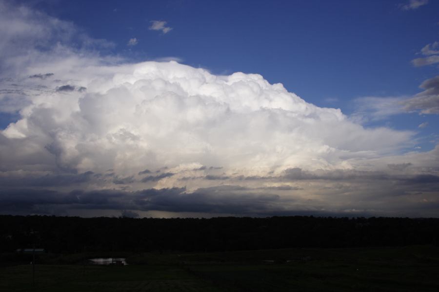 pileus pileus_cap_cloud : Schofields, NSW   28 February 2007