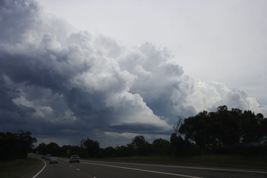 cumulonimbus thunderstorm_base : near Engadine, NSW   1 March 2007