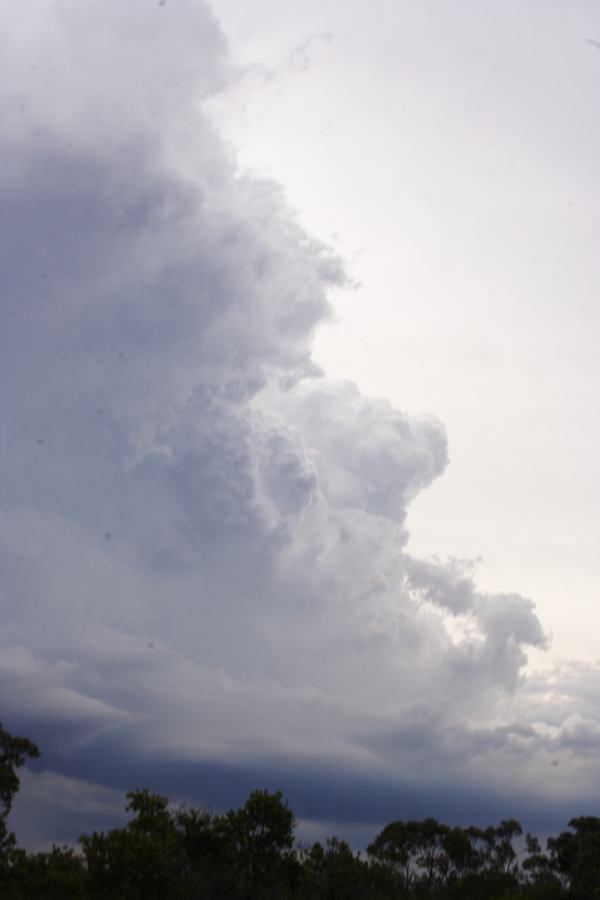 cumulonimbus thunderstorm_base : near Heathcote, NSW   1 March 2007