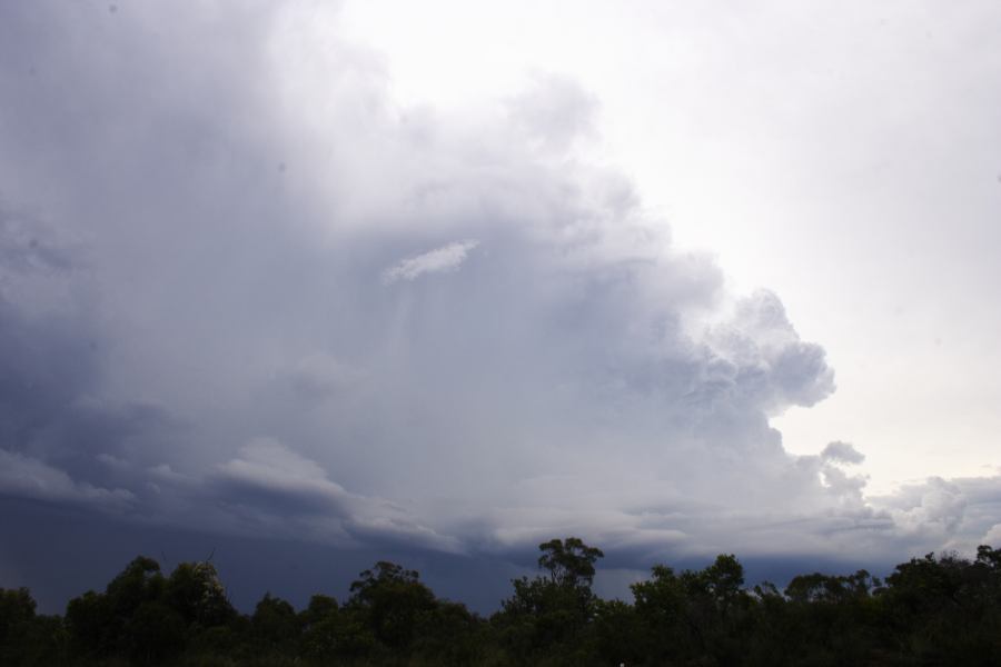 cumulonimbus thunderstorm_base : near Heathcote, NSW   1 March 2007