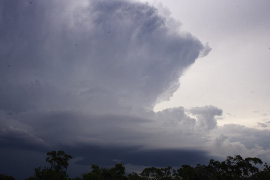 thunderstorm cumulonimbus_incus : near Heathcote, NSW   1 March 2007