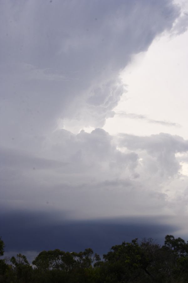 thunderstorm cumulonimbus_incus : near Heathcote, NSW   1 March 2007