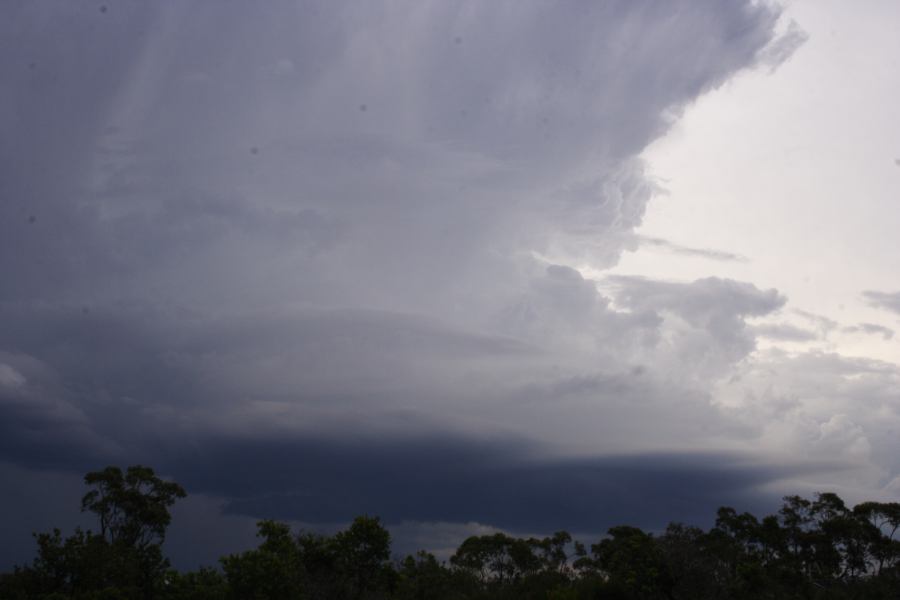 updraft thunderstorm_updrafts : near Heathcote, NSW   1 March 2007