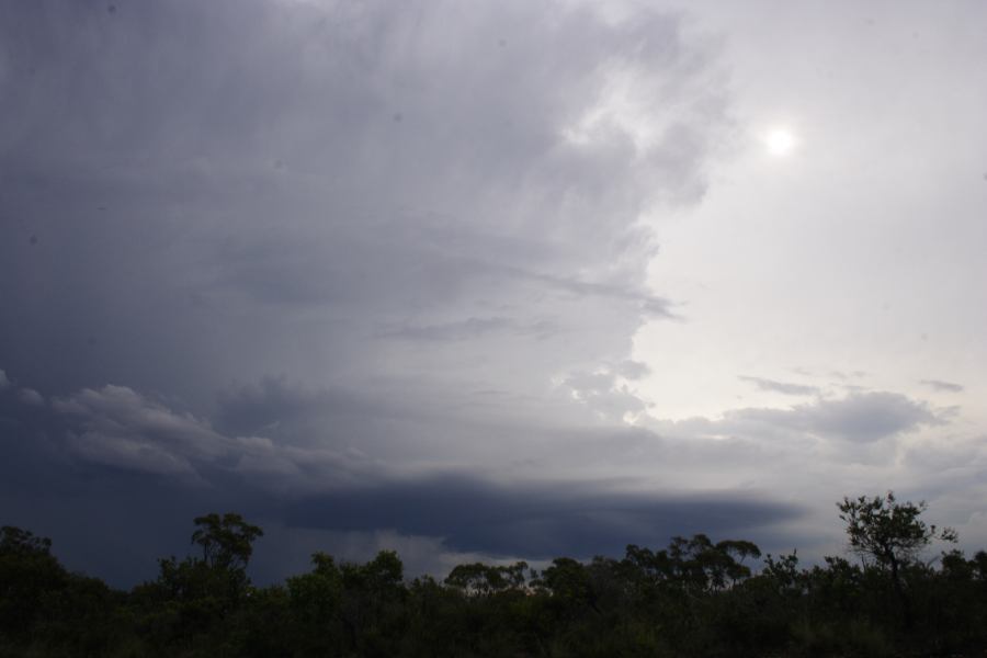 cumulonimbus thunderstorm_base : near Heathcote, NSW   1 March 2007