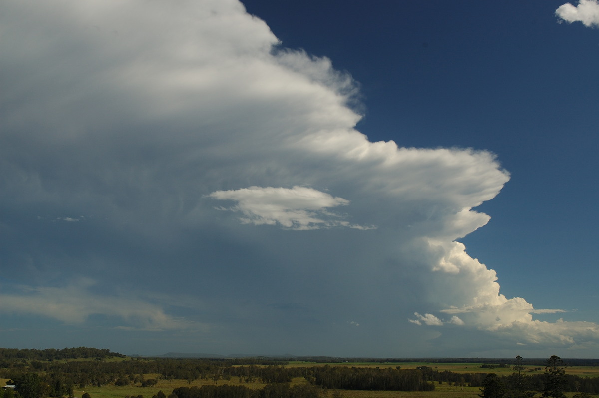 anvil thunderstorm_anvils : Parrots Nest, NSW   2 March 2007