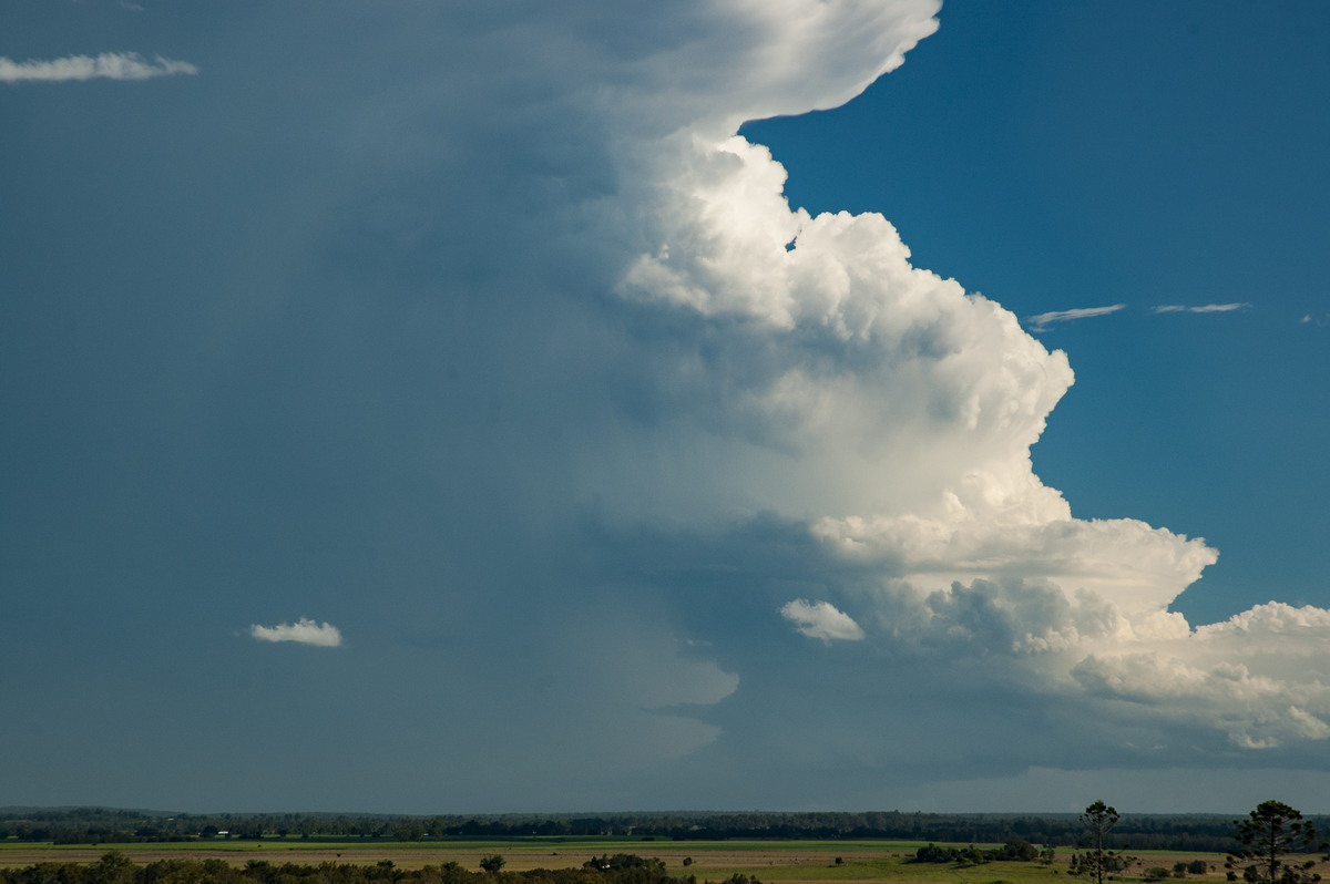 updraft thunderstorm_updrafts : Parrots Nest, NSW   2 March 2007