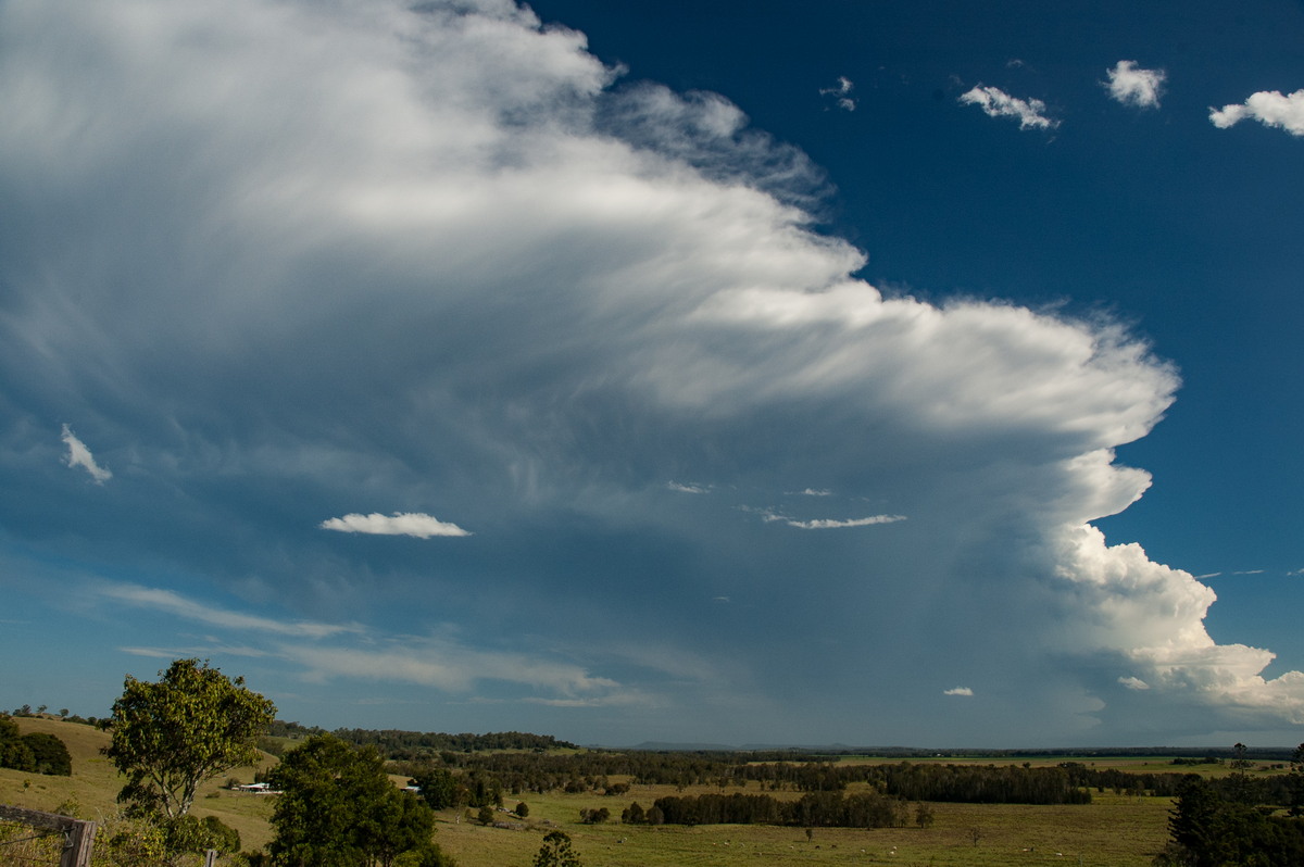 thunderstorm cumulonimbus_incus : Parrots Nest, NSW   2 March 2007