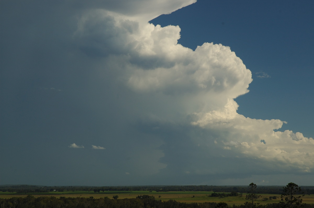 cumulonimbus supercell_thunderstorm : Parrots Nest, NSW   2 March 2007