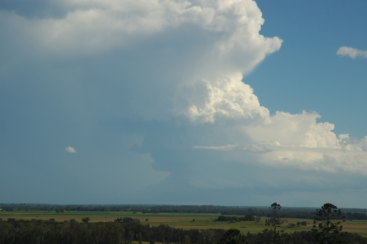 updraft thunderstorm_updrafts : Parrots Nest, NSW   2 March 2007