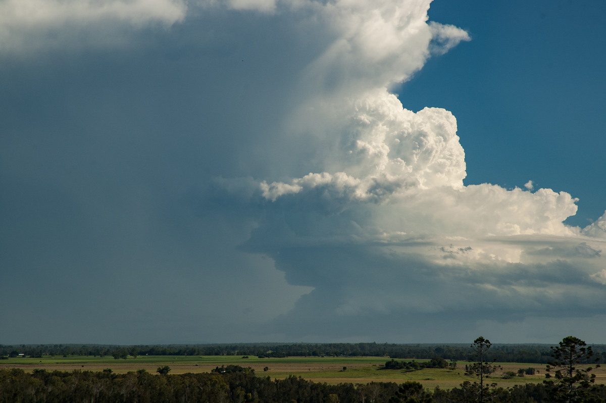 updraft thunderstorm_updrafts : Parrots Nest, NSW   2 March 2007