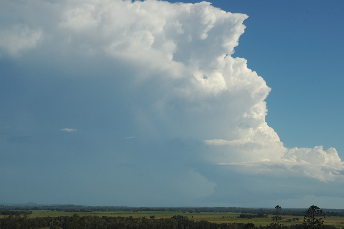 thunderstorm cumulonimbus_incus : Parrots Nest, NSW   2 March 2007