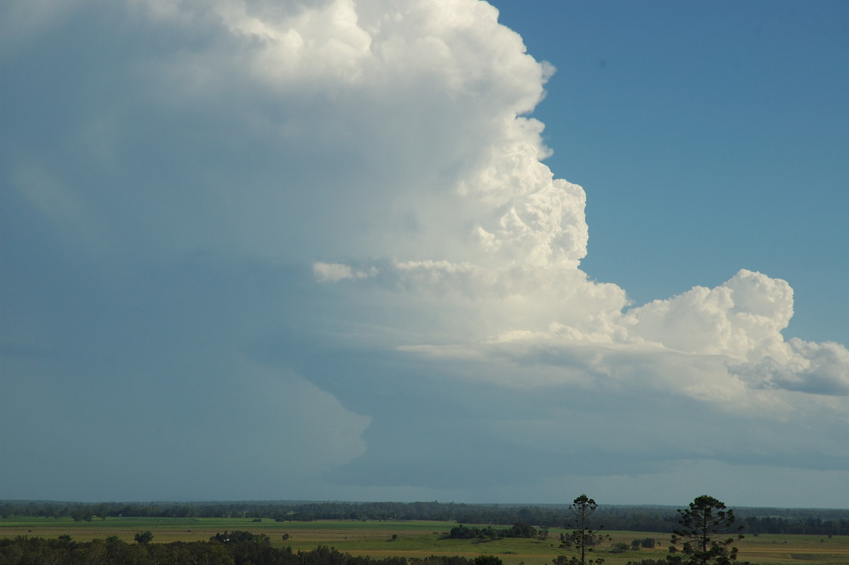 cumulonimbus supercell_thunderstorm : Parrots Nest, NSW   2 March 2007