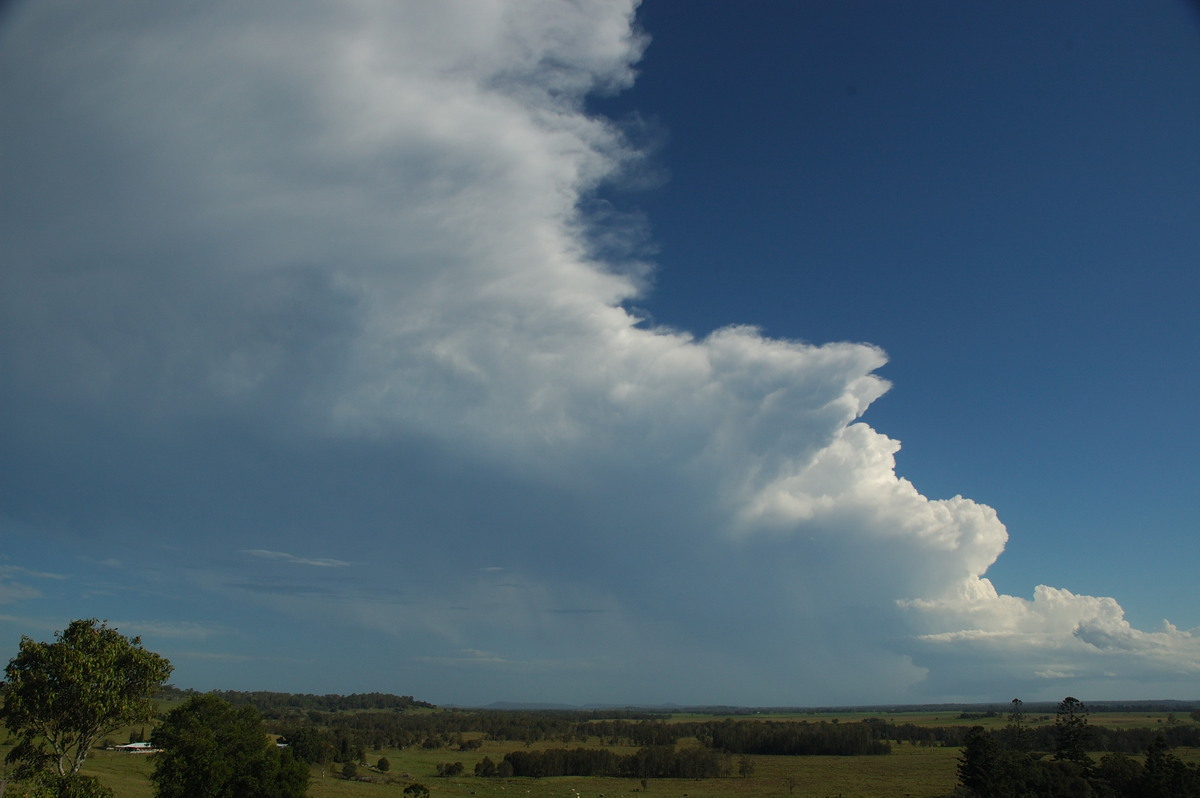 cumulonimbus supercell_thunderstorm : Parrots Nest, NSW   2 March 2007